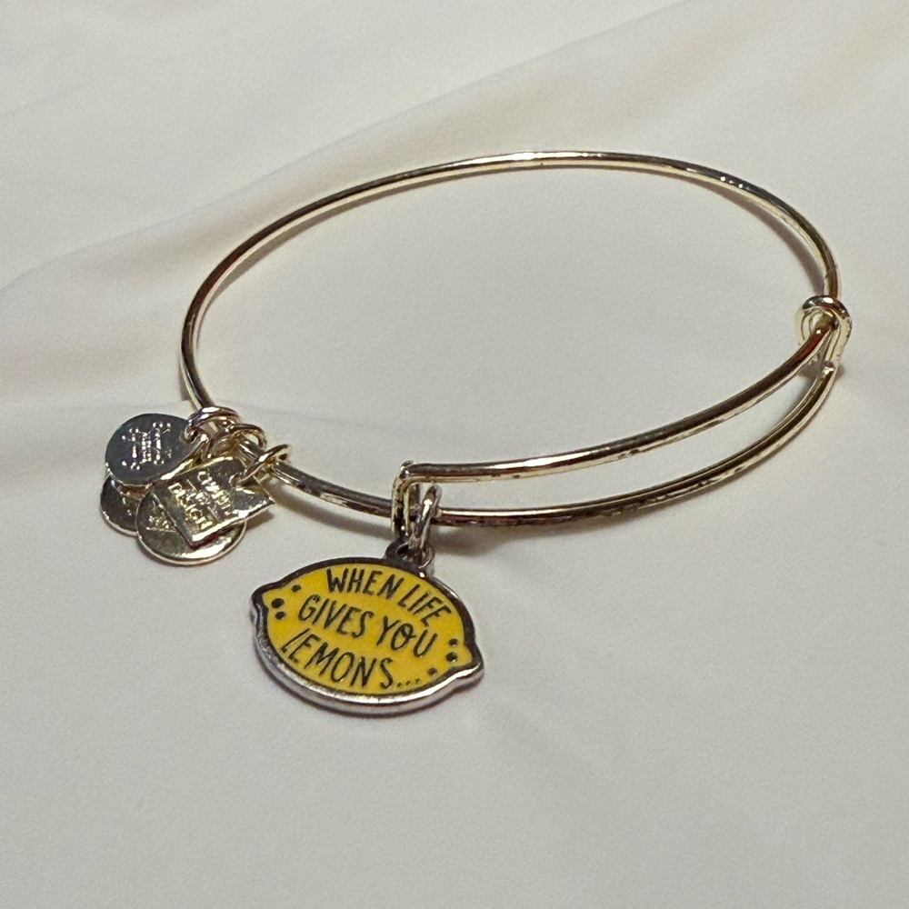 Alex and Ani Silver Bangle Bracelet